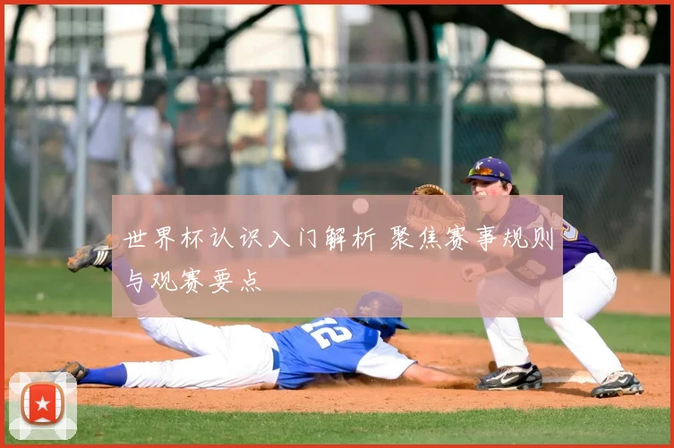 世界杯认识入门解析 聚焦赛事规则与观赛要点