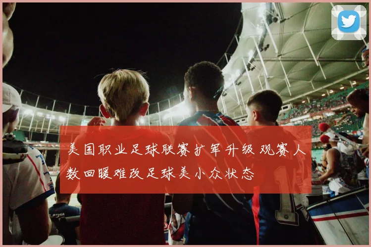 美国职业足球联赛扩军升级 观赛人数回暖难改足球美小众状态