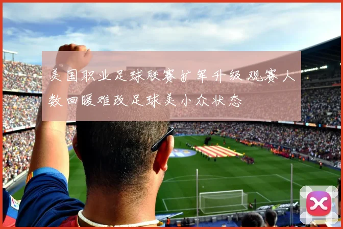 美国职业足球联赛扩军升级 观赛人数回暖难改足球美小众状态