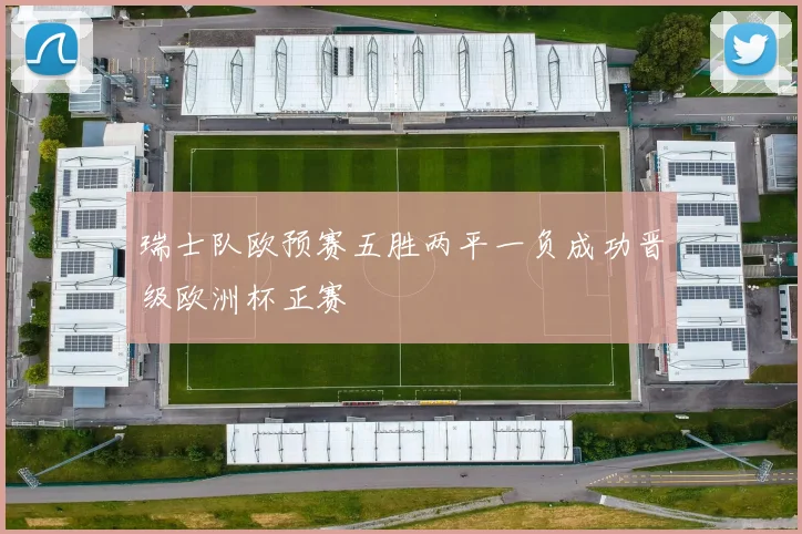 瑞士队欧预赛五胜两平一负成功晋级欧洲杯正赛
