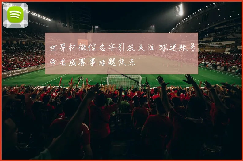 世界杯微信名字引发关注 球迷账号命名成赛事话题焦点