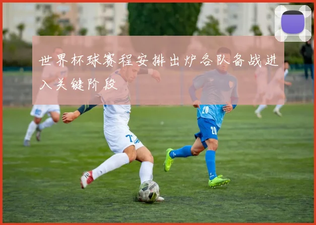 世界杯球赛程安排出炉各队备战进入关键阶段